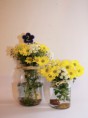 /album/fotogaleria-especiales/decoracion-con-frascos-jpg1/